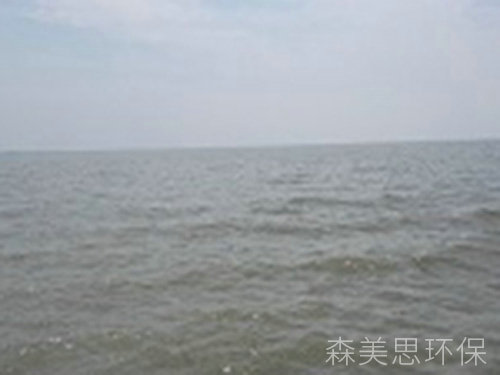 大通湖湖水除磷示范工程