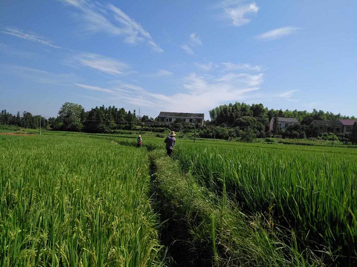 湖南森美思環(huán)保有限責(zé)任公司,長(zhǎng)沙土壤修復(fù)技術(shù),湖南廢水治理,湖南大氣污染治理